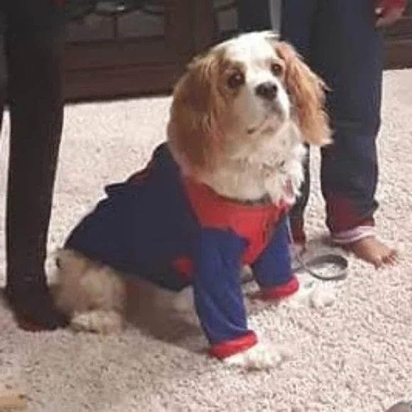 Meet The Posher - Picture 4 of 5